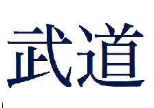 budo