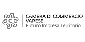 CAMCOM VARESE